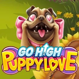 Go High Puppy Love by RubyPlay, showcased at stsbetcasino.ca – game logo